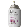 Cargar la imagen en la vista de la galería, Ambientador aerosol PH Bienestar amatista cristales morados - Perfumador larga duración zen místico

