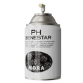Cargar la imagen en la vista de la galería, Ambientador aerosol PH Bienestar mora frutos bosque negros - Perfumador larga duración silvestre natural
