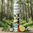 Cargar la imagen en la vista de la galería, Ambientador aerosol turbo eucalipto aroma balsámico - Perfumador natural 750ml esencia bosque 24h duración (Eucalipto-Limon)
